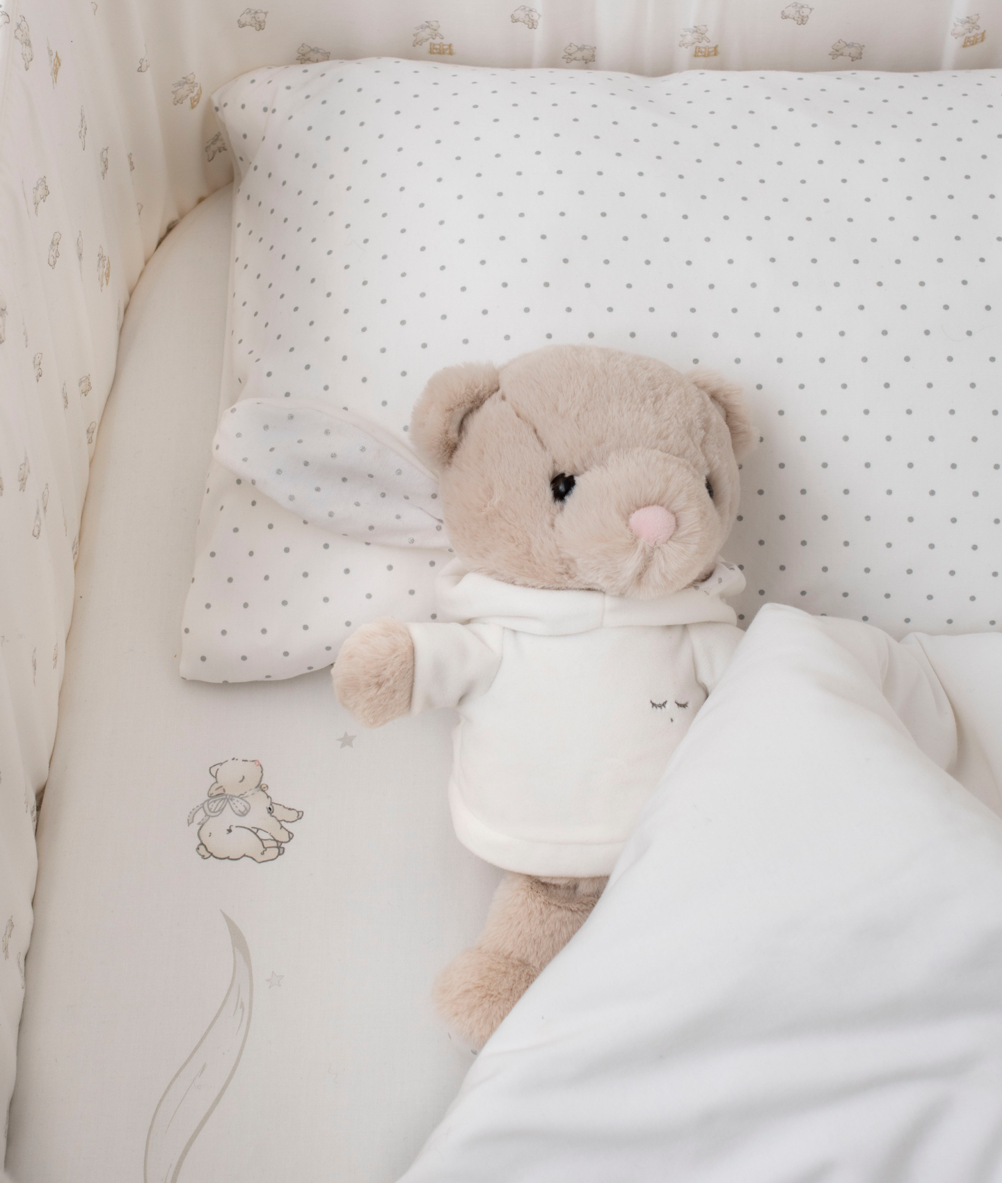 Teddy Tay