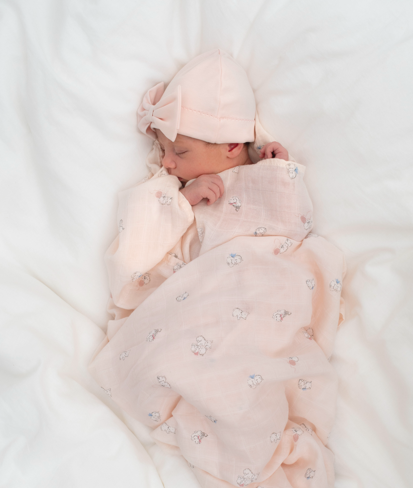 Kittens Swaddle