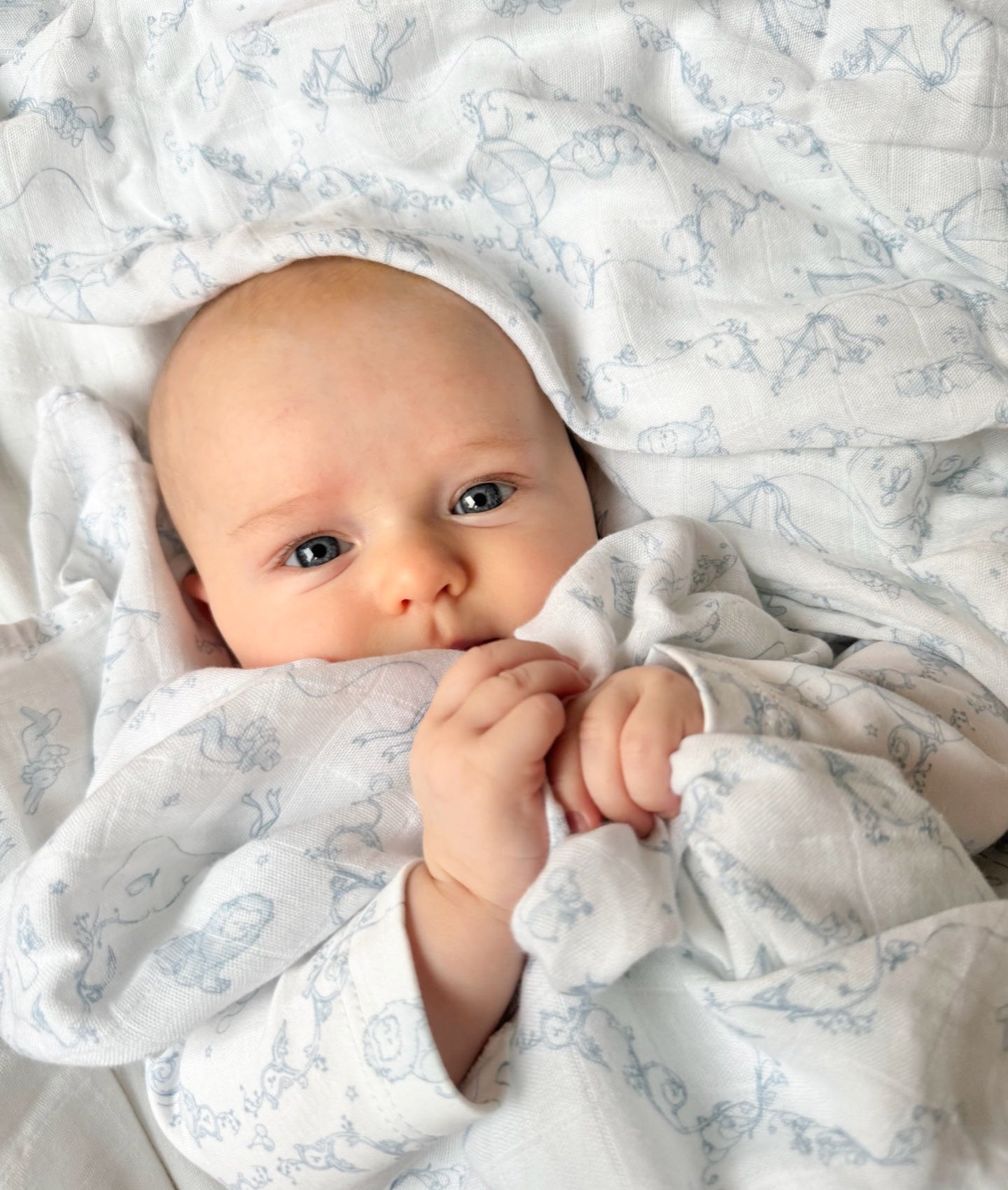 Wonderland Swaddle