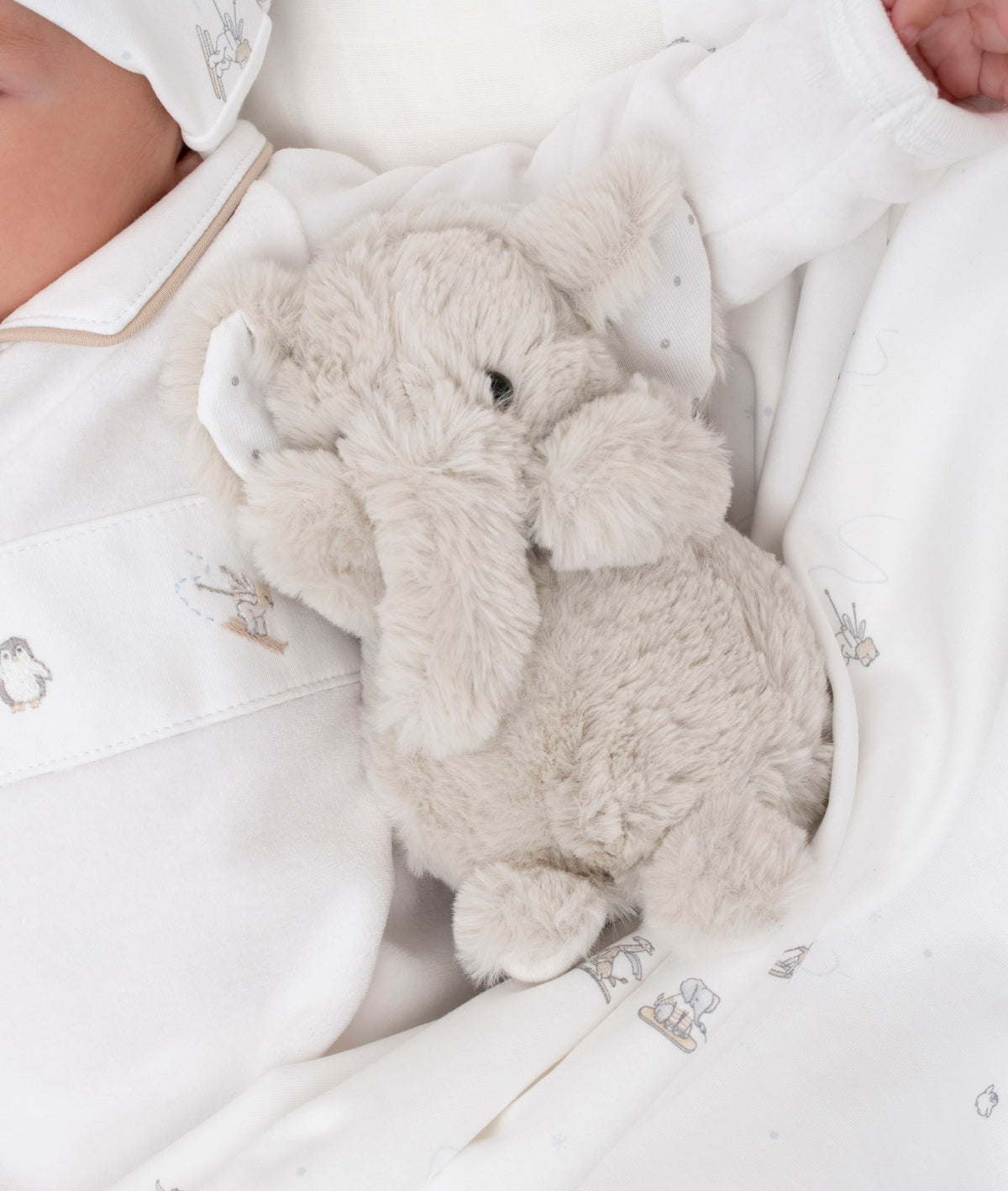 Tiny Elephant Charlie