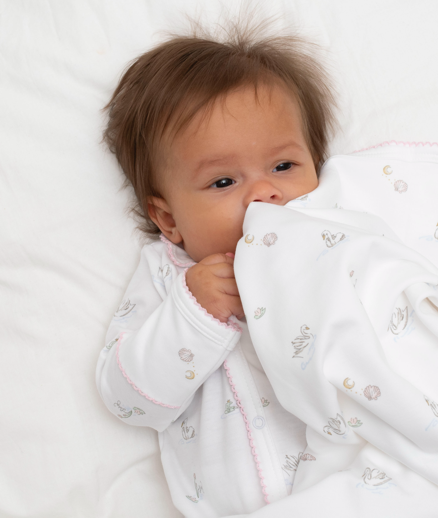 Swans Blanket